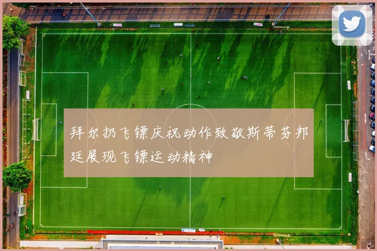 拜尔扔飞镖庆祝动作致敬斯蒂芬邦廷展现飞镖运动精神